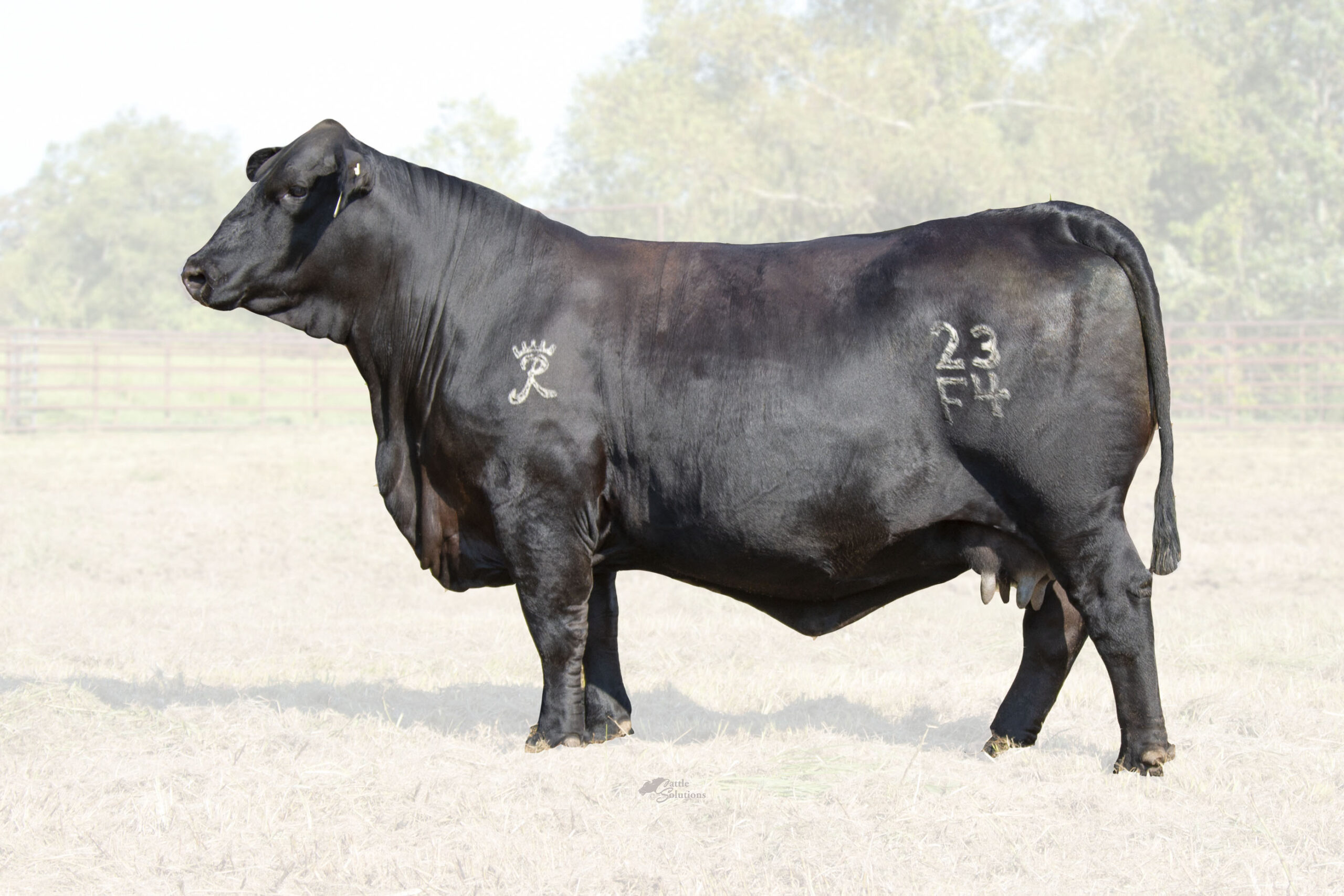 WMR MS Mile Marker 468G32