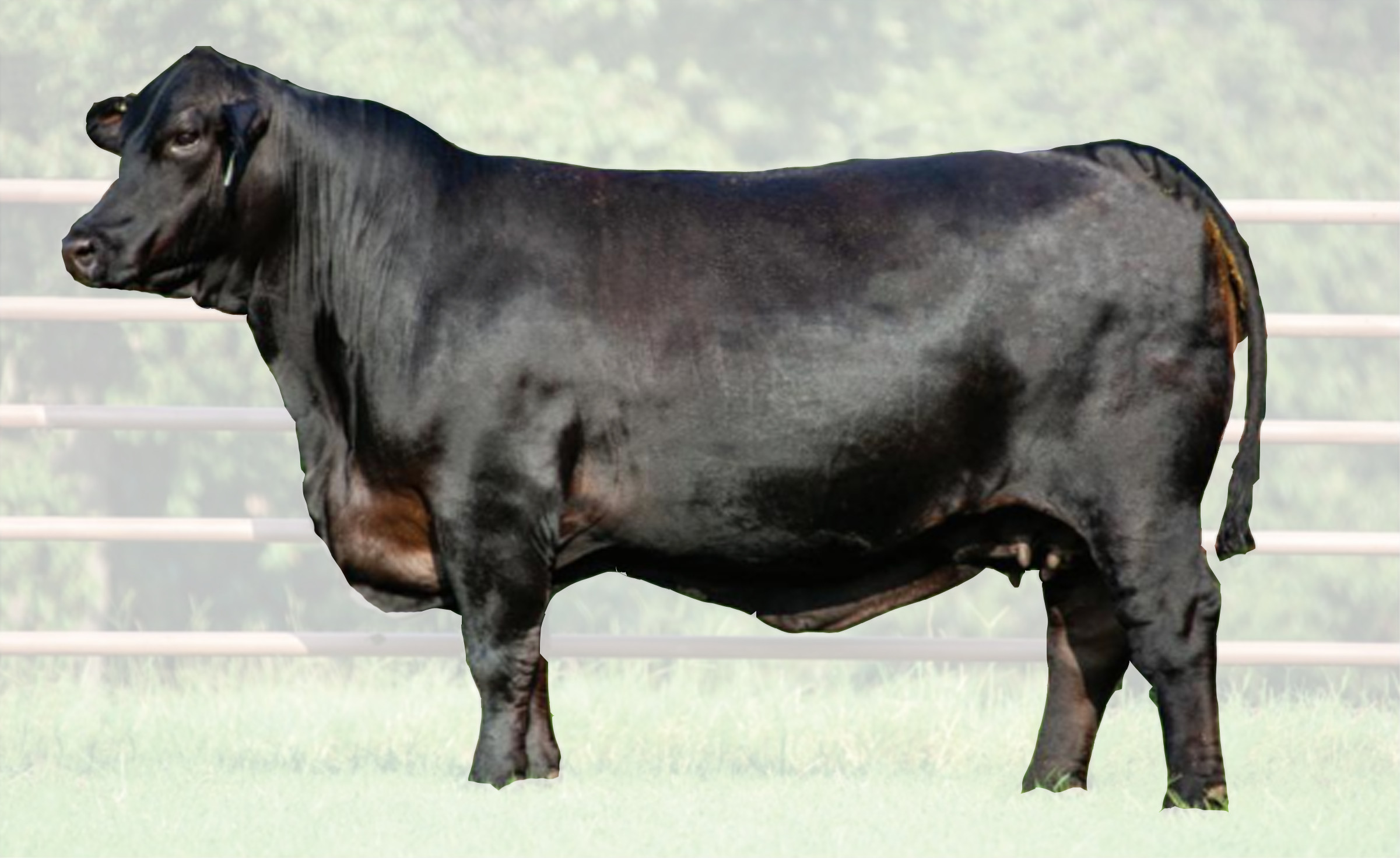 MC MS Resource 889H19